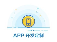 成都软件开发公司